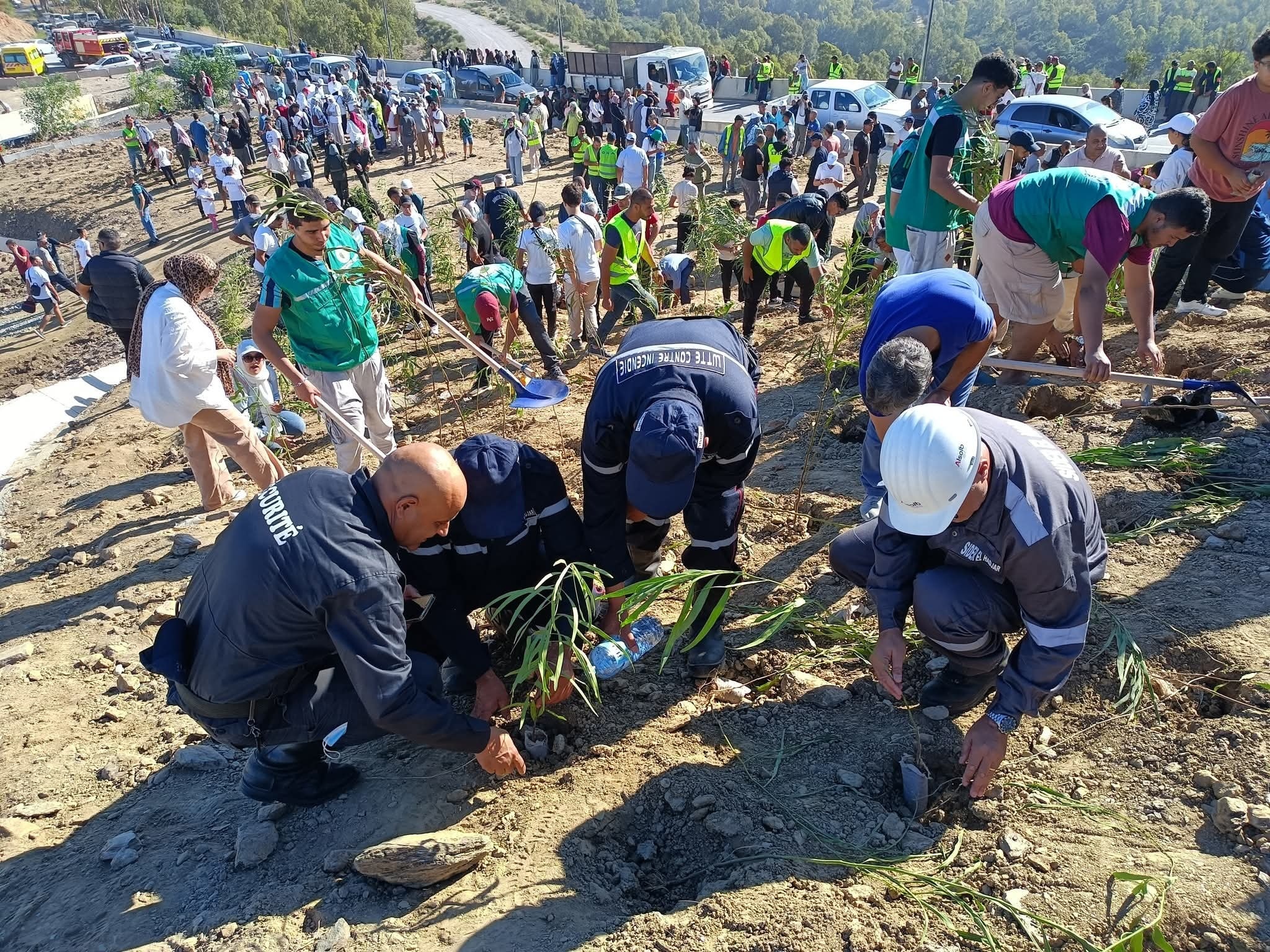 image de l'actualité